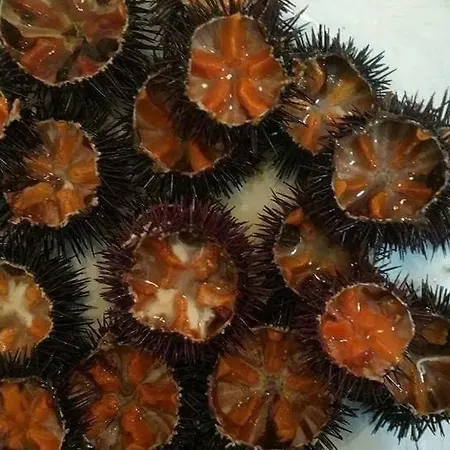 Michelle House Vakantiehuis *